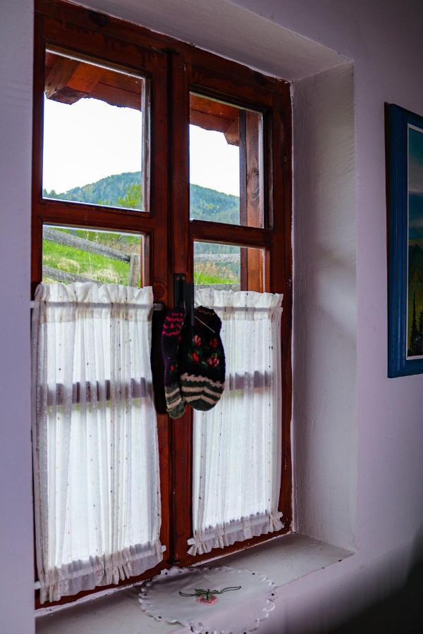 Apartment "Planinsko Selo" Zaovine Εξωτερικό φωτογραφία